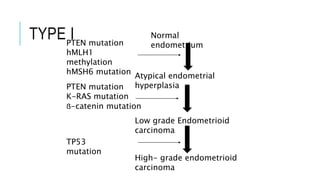 TYPE I Normal
endometrium
Atypical endometrial
hyperplasia
Low grade Endometrioid
carcinoma
High- grade endometrioid
carcinoma
PTEN mutation
hMLH1
methylation
hMSH6 mutation
PTEN mutation
K-RAS mutation
ẞ-catenin mutation
TP53
mutation
 