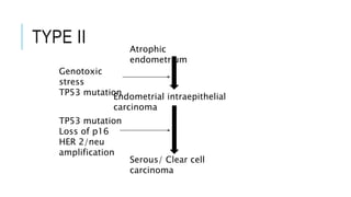 TYPE II Atrophic
endometrium
Endometrial intraepithelial
carcinoma
Serous/ Clear cell
carcinoma
Genotoxic
stress
TP53 mutation
TP53 mutation
Loss of p16
HER 2/neu
amplification
 
