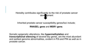 Heredity contributes significantly to the risk of prostate cancer
development
Inherited prostate cancer susceptibility genes/loci include;
RNASEL gene and MSR1 gene.
Somatic epigenetic alterations, like hypermethylation and
transcriptional silencing of several key genes, are the most abundant
and earliest genome abnormalities, evident in PIA and PIN as well as in
prostate cancer.
 