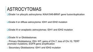 ASTROCYTOMAS
Grade I or pilocytic astrocytoma: KIAA1549-BRAF gene fusion/duplication
Grade II or diffuse astrocytoma: IDH1 and IDH2 mutation
Grade III or anaplastic astrocytomas: IDH1 and IDH2 mutation
Grade IV or Glioblastomas:
o Primary Glioblastoma: IDH- WT, gains of Chr.7, loss of Chr.10, TERT
promotor mutations, EGFR gene amplification
o Secondary Glioblastoma: IDH1 and IDH2 mutation
 