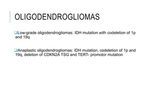 OLIGODENDROGLIOMAS
Low-grade oligodendrogliomas: IDH mutation with codeletion of 1p
and 19q
Anaplastic oligodendrogliomas: IDH mutation, codeletion of 1p and
19q, deletion of CDKN2A TSG and TERT- promotor mutation
 