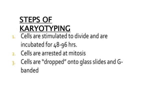 STEPS OF
KARYOTYPING
 