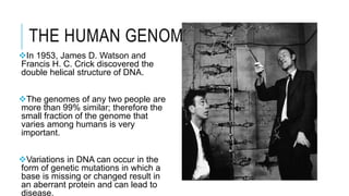 THE HUMAN GENOME
In 1953, James D. Watson and
Francis H. C. Crick discovered the
double helical structure of DNA.
The genomes of any two people are
more than 99% similar; therefore the
small fraction of the genome that
varies among humans is very
important.
Variations in DNA can occur in the
form of genetic mutations in which a
base is missing or changed result in
an aberrant protein and can lead to
disease.
 