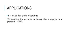 APPLICATIONS
•It is used for gene mapping.
•To analyze the genetic patterns which appear in a
person’s DNA.
 