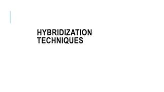 HYBRIDIZATION
TECHNIQUES
 