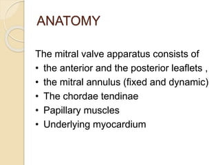 ANATOMY
The mitral valve apparatus consists of
• the anterior and the posterior leaflets ,
• the mitral annulus (fixed and dynamic)
• The chordae tendinae
• Papillary muscles
• Underlying myocardium
 