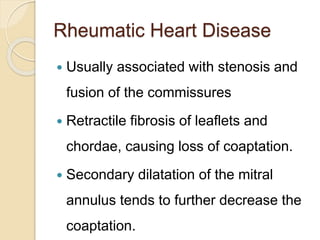 Rheumatic Heart Disease
 Usually associated with stenosis and
fusion of the commissures
 Retractile fibrosis of leaflets and
chordae, causing loss of coaptation.
 Secondary dilatation of the mitral
annulus tends to further decrease the
coaptation.
 