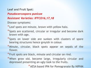 Integrated disease of pomegranate | PPTX