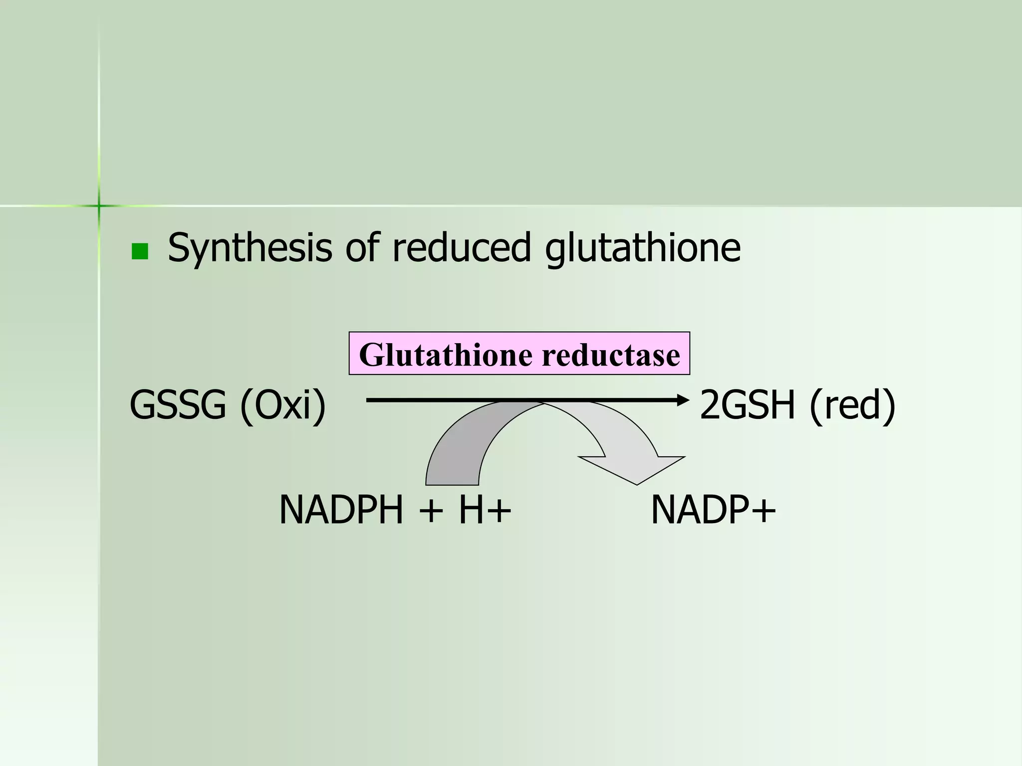 563-HMP_SHUNT_PATHWAY.ppt
