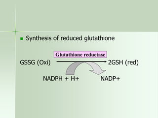 production of glutathione 563-HMP_SHUNT_PATHWAY.ppt