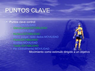 PUNTOS CLAVE
• Puntos clave control:
o Cuello MOVILIDAD
o Glenohumeral ESTABILIDAD
o Codo MOVILIDAD
o Muñeca ESTABILIDAD
o Mano: pulgar, resto dedos MOVILIDAD
o Pelvis ESTABILIDAD
o Rodillas MOVILIDAD
o Tobillo ESTABILIDAD
o Pie (Globalmente) MOVILIDAD
Movimiento como estimulo dirigido a un objetivo
 