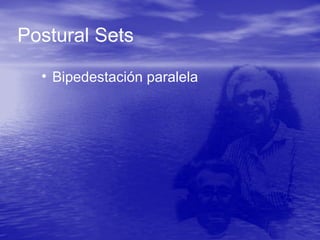 Postural Sets
• Bipedestación paralela
 
