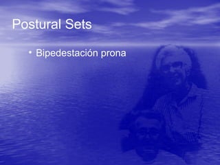 Postural Sets
• Bipedestación prona
 