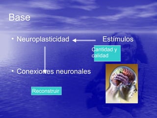 Base
• Neuroplasticidad Estímulos
• Conexiones neuronales
Cantidad y
calidad
Reconstruir
 