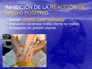 INHIBICIÓN DE LA REACCIÓN DE
APOYO POSITIVO
• Masaje gemelos, sóleo, interóseos
• Inervación recíproca rodilla (deme su rodilla)
• Antiequino sin presión plantar
 