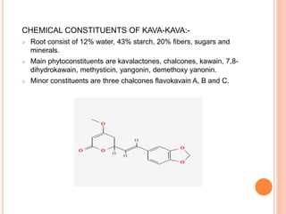 CHEMICAL CONSTITUENTS OF KAVA-KAVA:-
 Root consist of 12% water, 43% starch, 20% fibers, sugars and
minerals.
 Main phytoconstituents are kavalactones, chalcones, kawain, 7,8-
dihydrokawain, methysticin, yangonin, demethoxy yanonin.
 Minor constituents are three chalcones flavokavain A, B and C.
 