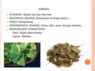 GINKGO
 SYNONYM:- Maiden hair tree, Kew tree
 BIOLOGICAL SOURCE:-Dried leaves of Ginkgo biloba L.
 FAMILY:-Ginkgoaceae.
 GEOGRAPHICAL SOURCE:- China, USA, Japan, Europe, Australia.
 MACROSCOPIC CHARACTERS:-
Color:- Bright yellow flowers.
Leaves:- Bilobate.
 