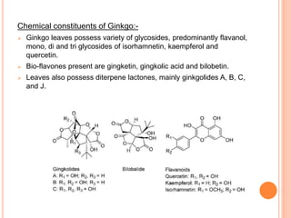 Chemical constituents of Ginkgo:-
 Ginkgo leaves possess variety of glycosides, predominantly flavanol,
mono, di and tri glycosides of isorhamnetin, kaempferol and
quercetin.
 Bio-flavones present are gingketin, gingkolic acid and bilobetin.
 Leaves also possess diterpene lactones, mainly ginkgolides A, B, C,
and J.
 