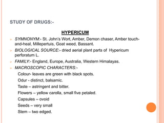 STUDY OF DRUGS:-
HYPERICUM
 SYMNONYM:- St. John’s Wort, Amber, Demon chaser, Amber touch-
and-heal, Millepertuis, Goat weed, Bassant.
 BIOLOGICAL SOURCE:- dried aerial plant parts of Hypericum
perforatum L.
 FAMILY:- England, Europe, Australia, Western Himalayas.
 MACROSCOPIC CHARACTERS:-
Colour- leaves are green with black spots.
Odur - distinct, balsamic.
Taste – astringent and bitter.
Flowers – yellow carolla, small five petaled.
Capsules – ovoid
Seeds – very small
Stem – two edged.
 