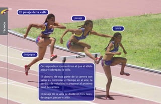 Corresponde al momento en el que el atleta
ataca y sobrepasa la valla.
El objetivo de esta parte de la carrera con
vallas es minimizar el tiempo en el aire, la
pérdida de velocidad y preparar el próximo
paso de carrera.
El pasaje de la valla se divide en tres fases:
despegue, pasaje y caída.
El pasaje de la valla
despegue
pasaje
caída
30
técnica
 