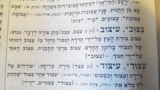 IBM Design :: IBM Confidential :: © IBM Corporation
 