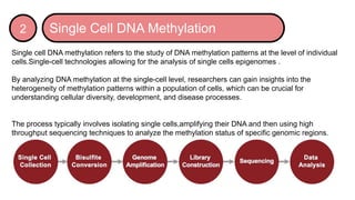 Single cell DNA analysis and its importance | PPTX