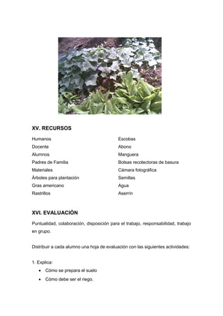 XV. RECURSOS
Humanos
Docente
Alumnos
Padres de Familia
Materiales
Árboles para plantación
Gras americano
Rastrillos
Escobas
Abono
Manguera
Bolsas recolectoras de basura
Cámara fotográfica
Semillas
Agua
Aserrín
XVI. EVALUACIÓN
Puntualidad, colaboración, disposición para el trabajo, responsabilidad, trabajo
en grupo.
Distribuir a cada alumno una hoja de evaluación con las siguientes actividades:
1. Explica:
• Cómo se prepara el suelo
• Cómo debe ser el riego.
 