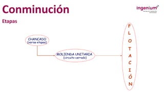 Conminución
Etapas
 