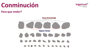 Conminución
Para que moler?
 