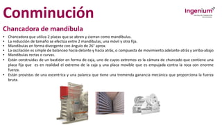 Conminución
Chancadora de mandíbula
• Chancadora que utiliza 2 placas que se abren y cierran como mandíbulas.
• La reducción de tamaño se efectúa entre 2 mandíbulas, una móvil y otra fija.
• Mandíbulas en forma divergente con ángulo de 26° aprox.
• La oscilación es simple de balanceo hacia delante y hacia atrás, o compuesta de movimiento adelante-atrás y arriba-abajo
• Mandíbulas rectas o curvas.
• Están construidas de un bastidor en forma de caja, uno de cuyos extremos es la cámara de chancado que contiene una
placa fija que es en realidad el extremo de la caja y una placa movible que es empujada contra la roca con enorme
fuerza.
• Están provistas de una excentrica y una palanca que tiene una tremenda ganancia mecánica que proporciona la fuerza
bruta.
 