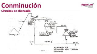 Conminución
Circuitos de chancado
 