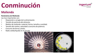 Conminución
Molienda
Parámetros de Molienda
Las mas importantes son:
• Disposición o arreglo de la alimentación.
• Tamaño de partícula del alimento.
• Medios de molienda: material, forma, tamaño y cantidad.
• Tamaño del molino, velocidad y consumo de potencia.
• Consumo de forros y bolas.
• Radio solido/liquido en el circuito
 