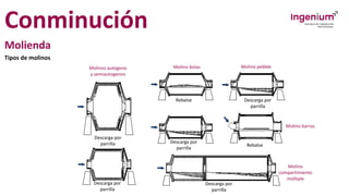 Conminución
Molienda
Tipos de molinos
Molinos autógeno
y semiautogenos
Descarga por
parrilla
Descarga por
parrilla
Descarga por
parrilla
Descarga por
parrilla
Descarga por
parrilla
Rebalse
Rebalse
Molino bolas Molino pebble
Molino barras
Molino
compartimiento
múltiple
 