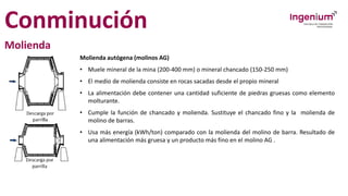 Conminución
Molienda
Molienda autógena (molinos AG)
• Muele mineral de la mina (200-400 mm) o mineral chancado (150-250 mm)
• El medio de molienda consiste en rocas sacadas desde el propio mineral
• La alimentación debe contener una cantidad suficiente de piedras gruesas como elemento
molturante.
• Cumple la función de chancado y molienda. Sustituye el chancado fino y la molienda de
molino de barras.
• Usa más energía (kWh/ton) comparado con la molienda del molino de barra. Resultado de
una alimentación más gruesa y un producto más fino en el molino AG .
 