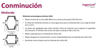 Conminución
Molienda
Molienda semiautógena (molinos SAG)
• Muele mineral de la mina (200-400 mm) o mineral chancado (150-250 mm).
• El medio de molienda consiste en rocas (igual que para la molienda AG) y una carga de bolas
de 4 a 12 %.
• Las bolas son agregadas para evitar tamaño crítico de material y para mejorar la capacidad
de trituración. El tamaño más común de bolas va desde ø 100 a 125 mm.
• Mayor capacidad que la molienda de molino AG.
• Mayor desgaste de revestimiento y menor disponibilidad que la molienda del molino AG.
• Demanda menos espacio que la molienda de molino AG.
 