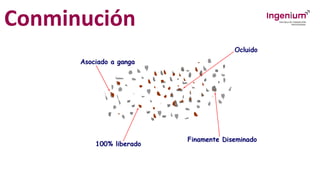 Conminución
 