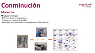 Conminución
Molienda
Marco geometalurgico
• Definición de dominios geológicos.
• Selección de muestras de sondaje
• Realización de test metalúrgicos específicos para CWi, SPI y BWi.
 