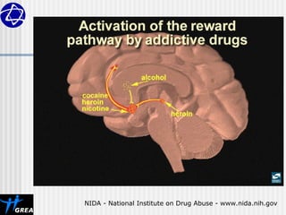NIDA - National Institute on Drug Abuse - www.nida.nih.gov
 