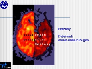 Ecstasy
Ecstasy
Internet:
Internet:
www.nida.nih.gov
www.nida.nih.gov
 