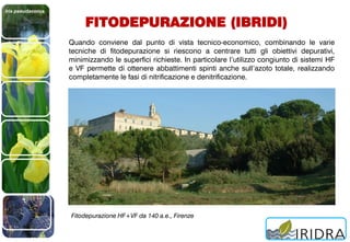 Iris pseudacorus
FITODEPURAZIONE (IBRIDI)
Quando conviene dal punto di vista tecnico-economico, combinando le varie
tecniche di fitodepurazione si riescono a centrare tutti gli obiettivi depurativi,
minimizzando le superfici richieste. In particolare l’utilizzo congiunto di sistemi HF
e VF permette di ottenere abbattimenti spinti anche sull’azoto totale, realizzando
completamente le fasi di nitrificazione e denitrificazione.
Fitodepurazione HF+VF da 140 a.e., Firenze
 