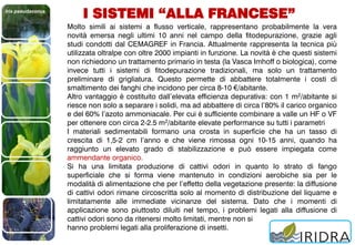 Iris pseudacorus
I SISTEMI “ALLA FRANCESE”
Molto simili ai sistemi a flusso verticale, rappresentano probabilmente la vera
novità emersa negli ultimi 10 anni nel campo della fitodepurazione, grazie agli
studi condotti dal CEMAGREF in Francia. Attualmente rappresenta la tecnica più
utilizzata oltralpe con oltre 2000 impianti in funzione. La novità è che questi sistemi
non richiedono un trattamento primario in testa (la Vasca Imhoff o biologica), come
invece tutti i sistemi di fitodepurazione tradizionali, ma solo un trattamento
preliminare di grigliatura. Questo permette di abbattere totalmente i costi di
smaltimento dei fanghi che incidono per circa 8-10 €/abitante.
Altro vantaggio è costituito dall’elevata efficienza depurativa: con 1 m2/abitante si
riesce non solo a separare i solidi, ma ad abbattere di circa l’80% il carico organico
e del 60% l’azoto ammoniacale. Per cui è sufficiente combinare a valle un HF o VF
per ottenere con circa 2-2.5 m2/abitante elevate performance su tutti i parametri
I materiali sedimentabili formano una crosta in superficie che ha un tasso di
crescita di 1,5-2 cm l’anno e che viene rimossa ogni 10-15 anni, quando ha
raggiunto un elevato grado di stabilizzazione e può essere impiegata come
ammendante organico.
Si ha una limitata produzione di cattivi odori in quanto lo strato di fango
superficiale che si forma viene mantenuto in condizioni aerobiche sia per le
modalità di alimentazione che per l’effetto della vegetazione presente: la diffusione
di cattivi odori rimane circoscritta solo al momento di distribuzione del liquame e
limitatamente alle immediate vicinanze del sistema. Dato che i momenti di
applicazione sono piuttosto diluiti nel tempo, i problemi legati alla diffusione di
cattivi odori sono da ritenersi molto limitati, mentre non si
hanno problemi legati alla proliferazione di insetti.
 