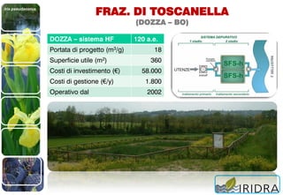 Iris pseudacorus
FRAZ. DI TOSCANELLA
(DOZZA – BO)
DOZZA – sistema HF 120 a.e.
Portata di progetto (m3/g) 18
Superficie utile (m2) 360
Costi di investimento (€) 58.000
Costi di gestione (€/y) 1.800
Operativo dal 2002
 