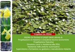 Iris pseudacorus
IRIDRA Srl fornisce ai propri clienti attività di:
Progettazione di massima e consulenze tecnico-economiche
Progettazione Esecutiva
Direzione Lavori e Assistenza alla DDLL
Assistenza nelle pratiche autorizzative
Supervisione e formazione su gestione e manutenzione impianto
Progettare con IRIDRA
 