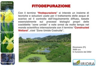 Iris pseudacorus
FITODEPURAZIONE
Con il termine “fitodepurazione” si intende un insieme di
tecniche e soluzioni usate per il trattamento delle acque di
scarico ed il controllo dell’inquinamento diffuso, basate
essenzialmente sui processi biologici propri delle
cosiddette “zone umide” e note ormai da molto tempo nel
mondo scientifico internazionale con il termine “Constructed
Wetland”, cioè “Zone Umide Costruite”.
Dicomano (FI)
3500 a.e.
In funzione dal 2002
 