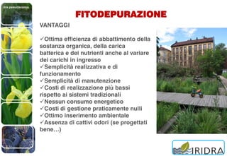 Iris pseudacorus
FITODEPURAZIONE
VANTAGGI
Ottima efficienza di abbattimento della
sostanza organica, della carica
batterica e dei nutrienti anche al variare
dei carichi in ingresso
Semplicità realizzativa e di
funzionamento
Semplicità di manutenzione
Costi di realizzazione più bassi
rispetto ai sistemi tradizionali
Nessun consumo energetico
Costi di gestione praticamente nulli
Ottimo inserimento ambientale
Assenza di cattivi odori (se progettati
bene…)
 