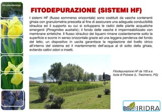 Iris pseudacorus
FITODEPURAZIONE (SISTEMI HF)
I sistemi HF (flusso sommerso orizzontale) sono costituiti da vasche contenenti
ghiaia con granulometria prescelta al fine di assicurare una adeguata conducibilità
idraulica ed il supporto su cui si sviluppano le radici delle piante acquatiche
emergenti (Phragmites australis); il fondo delle vasche è impermeabilizzato con
membrane sintetiche. Il flusso idraulico dei liquami rimane costantemente sotto la
superficie e scorre in senso orizzontale grazie ad una leggera pendenza del fondo
del letto; un dispositivo in uscita garantisce la regolazione del livello idrico
all’interno del sistema ed il mantenimento dell’acqua al di sotto della ghiaia,
evitando cattivi odori o insetti.
Fitodepurazione HF da 100 a.e.
Isola di Polvese (L. Trasimeno, PG)
 