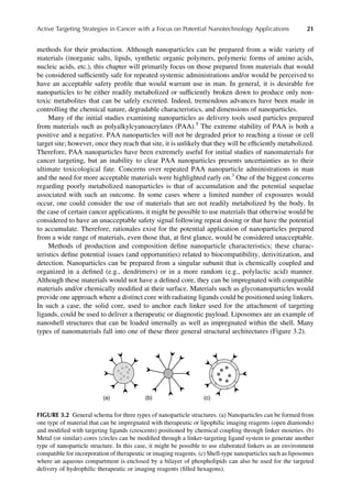 Nanotechnology In Cancer Therapeutics Mansoor M Amiji | PDF