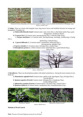 Tikiw 565955642-AFA-Agriculture-3rd-quarter.docx