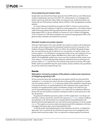 Immunostaining and western blots
Sample slides were obtained from biopsy specimens from CHOP under an active IRB protocol.
Samples included biopsy specimens from NDC, DC, and BA patients, not overlapping with
patients used for the molecular studies. Slides were prepared as per standard procedures and
stained with anti-PDGF primary antibody (Abcam, ab38562, 1:250) and appropriate secondary
antibody.
For western blotting of zebrafish larval samples for PDGF-A: Protein was extracted from
thirty pooled 5 days post fertilization (5 dpf) larvae and homogenized in a 10% sodium dodecyl
sulfate denaturing medium following standard protocols. Blots were exposed to primary anti-
bodies against PDGF-A (Abcam, ab38562) at a titration of 1:250 or Tubulin (Cell Signaling,
2125) at a titration of 1:1000. Band visualization was conducted using appropriate HRP-conju-
gated secondary antibodies and standard ECL protocols.
Zebrafish studies and protein injection
Wild-type Tupfel long fin (TLF) strain zebrafish were raised in accordance with standard prac-
tice under a protocol approved by the Institutional Animal Care and Use Committee at The
Children's Hospital of Philadelphia. PDGF-AA, PDGF-AB, and PDGF-BB peptide (ProSpec
Bio) were injected into the yolk of 2 dpf larvae at a concentration of 25 ug/mL, similar to our
previous studies [1]. For HH pathway overexpression studies, larvae were incubated in E3 con-
taining 30μM purmorphamine (Sigma, SML0868) from 2 dpf to 5dpf. At 5dpf, PED-6 was
added to E3 for gallbladder uptake assays. Larvae were then sacrificed and fixed, similar to pre-
vious studies [19]. Immunostaining using cytokeratin antibody Ks18.04 was performed as in
previous studies [20, 21], and the livers were analyzed using confocal microscopy. PED-6 gall-
bladder uptake was quantified using Chi-square analysis, and duct attributes were quantified as
per previous studies and compared using t-test.
Results
Methylation microarray analysis of BA patients underscores importance
of Hedgehog signaling in BA
We have previously shown that cholangiocytes from patients with BA have decreased DNA
methylation [14], and others have shown that there is decreased DNA methylation in lympho-
cytes from patients with BA [16, 22]. To determine whether DNA methylation of specific genes
is decreased in BA livers, we examined global liver DNA methylation from samples taken at
transplant. We hypothesized that analysis of methylation changes in the whole liver may
uncover hypomethylated genes in BA patients, as we could screen for methylation differences
between BA and control patients and perform subsequent studies in earlier specimens to iden-
tify cell specificity.
We performed methylation microarray analysis on DNA samples from 3 non-disease con-
trol (NDC), 4 disease control (DC), and 6 BA liver specimens (S1A Table). Analysis of differen-
tial methylation at the 485,585 distinct sites using the Illumina HumanMethylation 450
BeadChip demonstrated significantly more sites with decreased methylation in the BA samples
(Fig 1a). This supports our previous studies showing decreased DNA methylation in BA livers,
and suggests that specific genes may be hypomethylated in BA.
To identify specific hypomethylated genes in the methylation microarray, we adopted two
approaches. First, we perused the list of probesets for genes known to be upregulated in BA
patients, based on previous studies. Then, we undertook an unbiased approach and selected
Methylation Microarray Studies in Biliary Atresia
PLOS ONE | DOI:10.1371/journal.pone.0151521 March 24, 2016 4 / 17
 