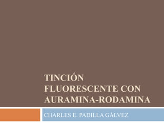 TINCIÓN FLUORESCENTE CON AURAMINA-RODAMINA CHARLES E. PADILLA GÁLVEZ 